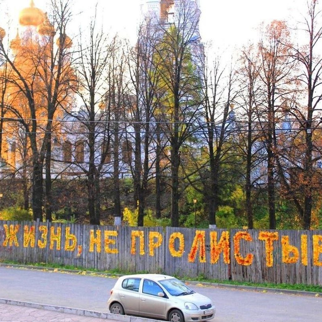 Портрет Юрия Шевчука из кленовых листьев
