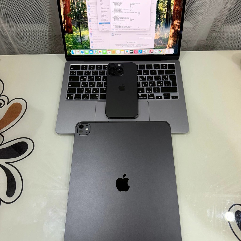 IPad Pro 13 M5 256 5g