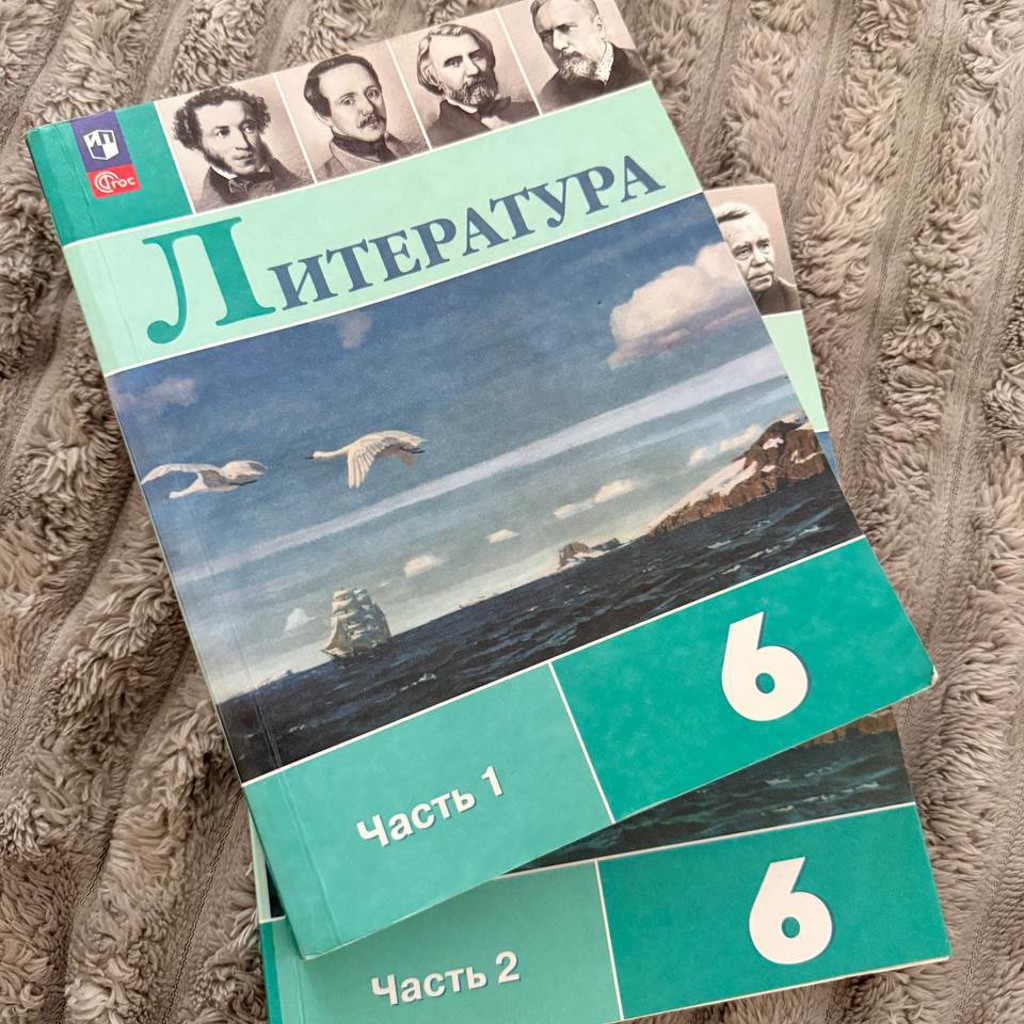 Учебник по литературе, 6 класс