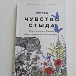 Чувство стыда - фото 2