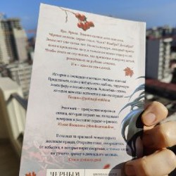 Невеста ноября - фото 3