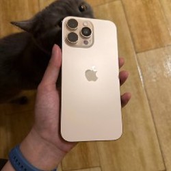 IPhone 16 Pro Max - фото 3