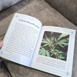 Книга по фитотерапии CBD - фото 2