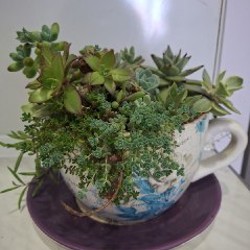 Кружка с блюдцем - фото 6