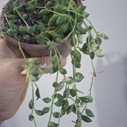 Кружка с блюдцем - фото 8