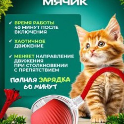 Лежанка - фото 2