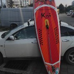 Sap-board - фото 4