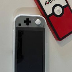 Nintendo Switch Lite - фото 5