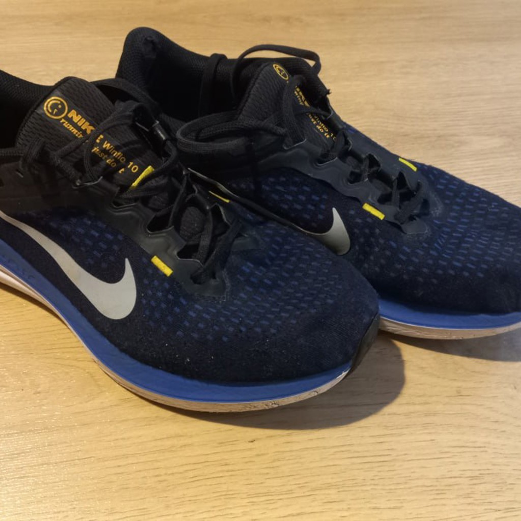 Кроссовки Nike Winflo 10