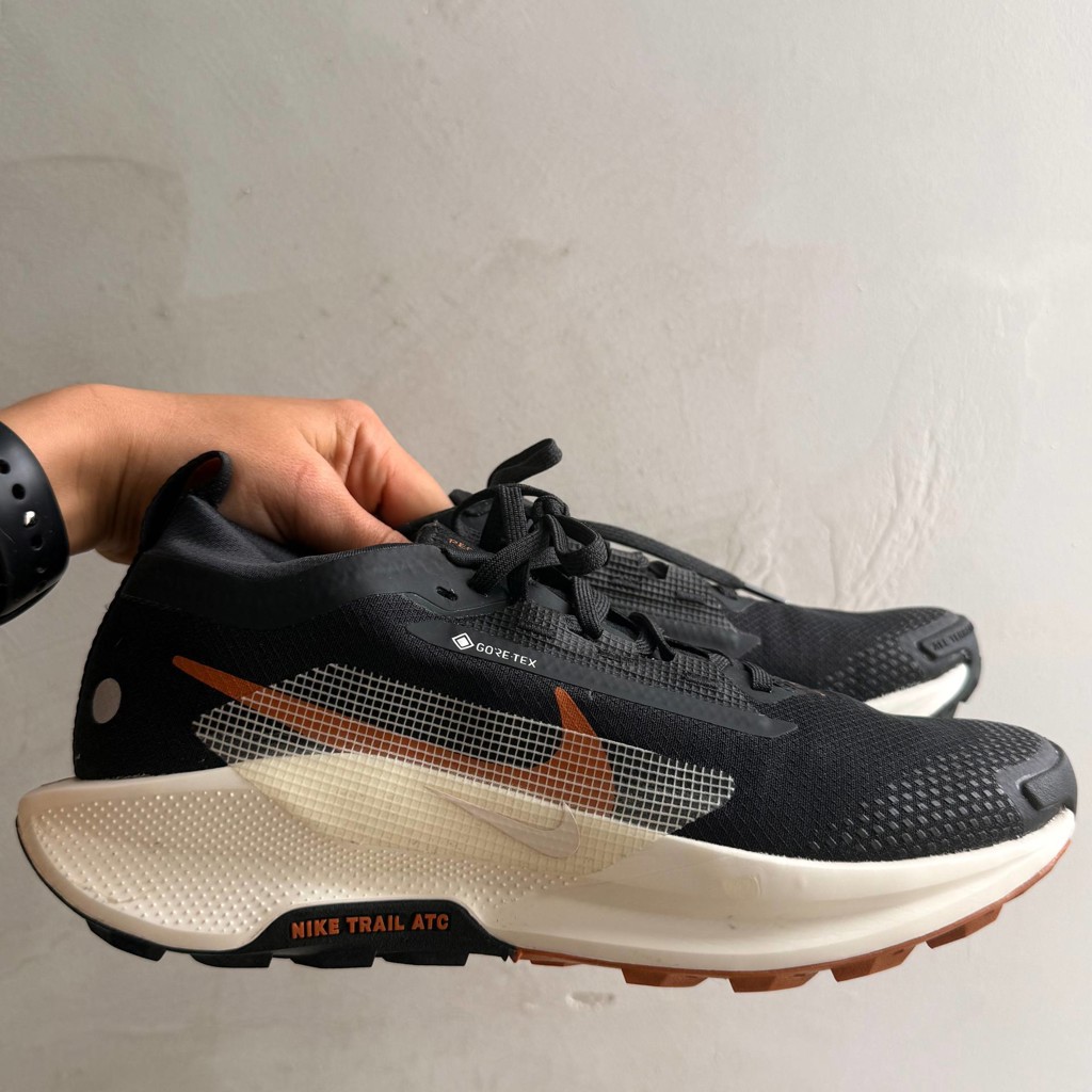 Кроссовки Nike Running Pegasus Trail 5 GORE-TEX