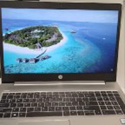 Ноутбук HP ProBook 450 G6 - фото 4