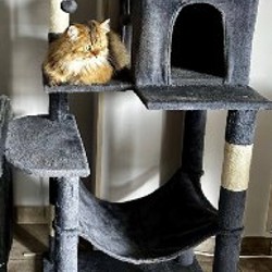 Сапоги резиновые - фото 4