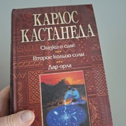Калатея Макоя - фото 6