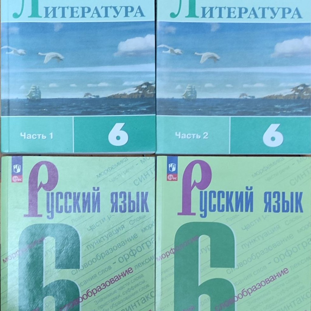 Учебники русский язык и литература 6 класс