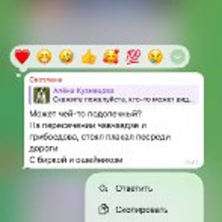 Стич - фото 5