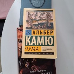 Чума - фото 3