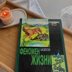 Суши быстро и просто - фото 9