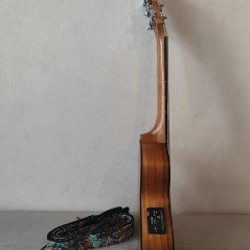 Электроакустическая гитара IBANEZ EWP12EWB-OPN - фото 2