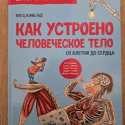 Энциклопедия: Как устроено человеческое тело и как устроен город - фото 4