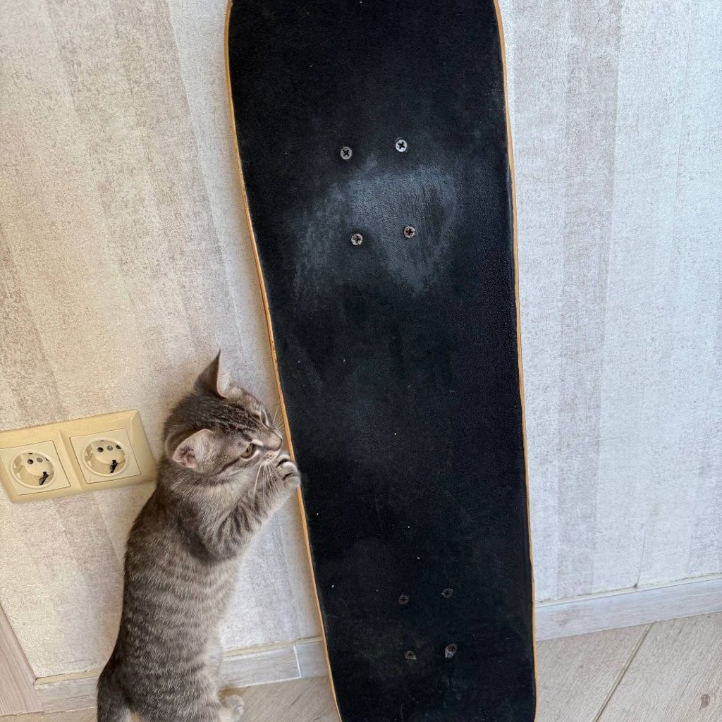 Скейт