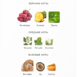 Пробник парфюма Karagoz Nishane - фото 2