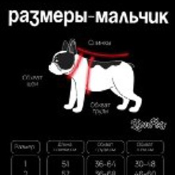 Дождевик - фото 2
