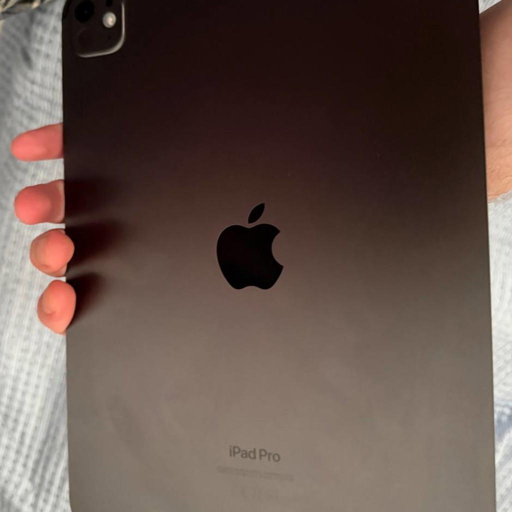 IPad Pro 11' (M4) 256