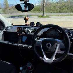Smart ForTwo Cabrio - фото 4