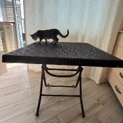 Игрушка для кота - фото 2