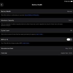 IPad Pro 11' (M4) 256 GB - фото 6