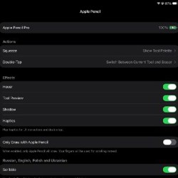 IPad Pro 11' (M4) 256 GB - фото 7