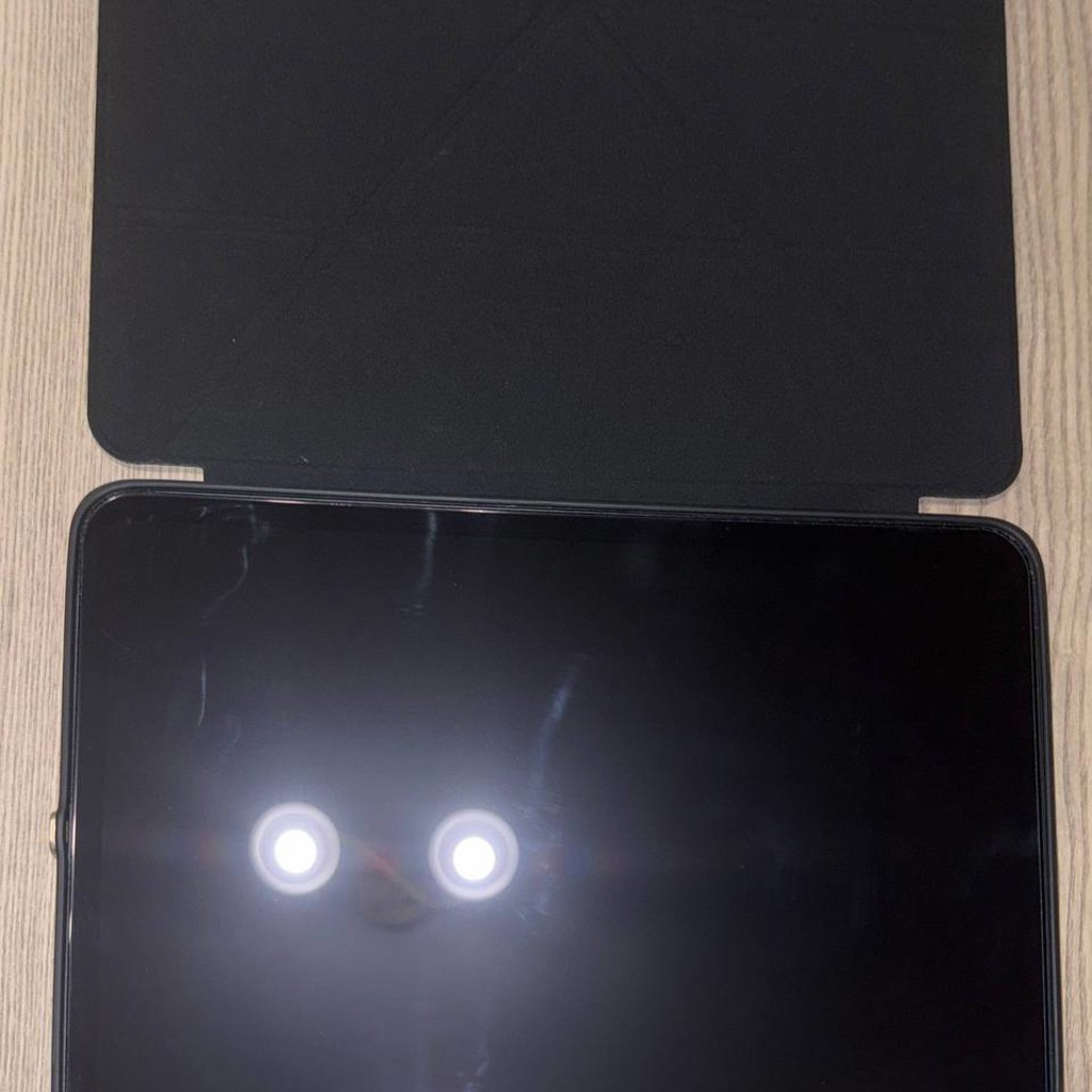 IPad Pro 11' (M4) 256 GB