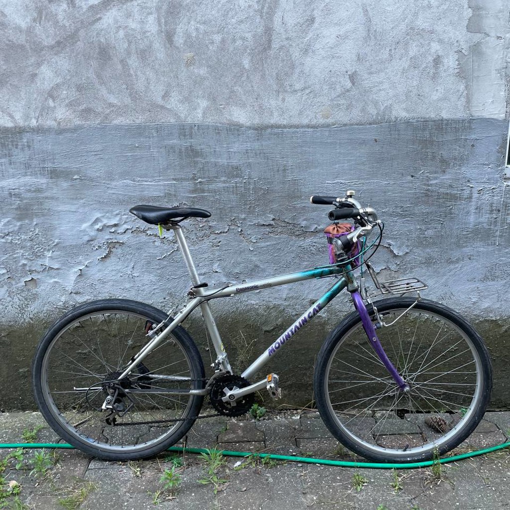 Panasonic Mountain Cat MC-F