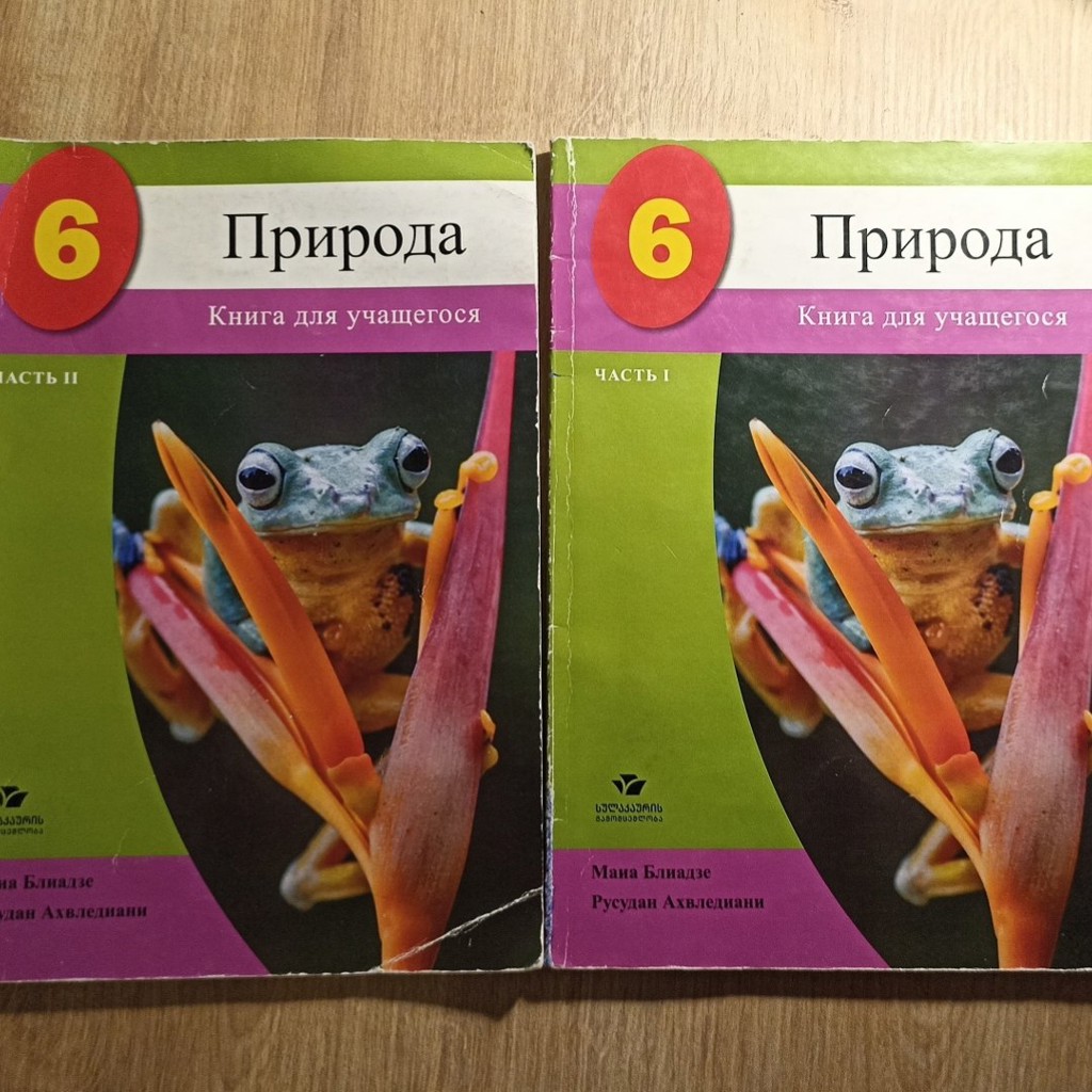 Учебник для 6 класса 'природа'