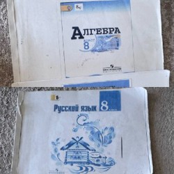 Учебник русского языка за 8 класс - фото 4