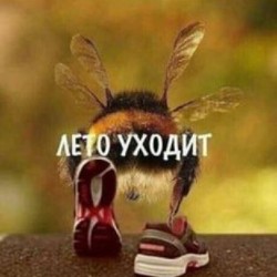 Мужской шерстяной костюм - фото 4