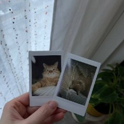 Fujifilm Instax Mini 9 - фото 2