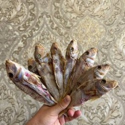 Черноморский бычок - фото 4