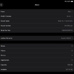 IPad Pro 11' (M4) 256 GB - фото 5