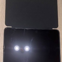 IPad Pro 11' (M4) 256 GB - фото 2