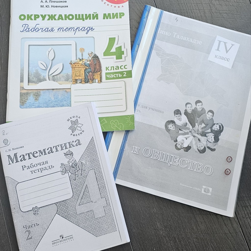 Школьные книги