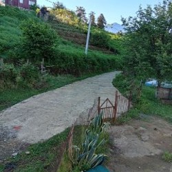 Земельный участок с домом - фото 6