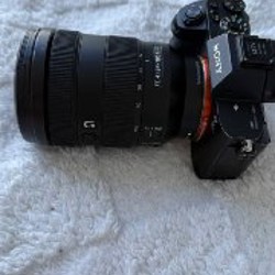 Sony FE 24–105mm f/4 G OSS - фото 2