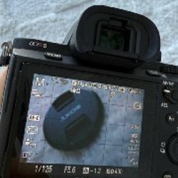 Sony FE 24–105mm f/4 G OSS - фото 5