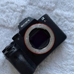 Sony FE 24–105mm f/4 G OSS - фото 6
