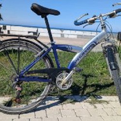 Велосипед Pegasus Power S - фото 4