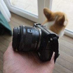 Карта памяти Kingston 32GB - фото 1