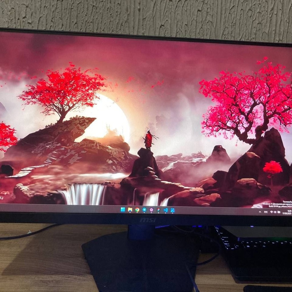 Монитор MSI G244F E2