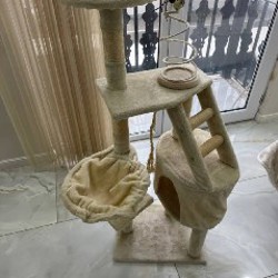 Лазалка с домиком и лежанкой для котов - фото 3