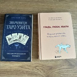 Раненый целитель - фото 5